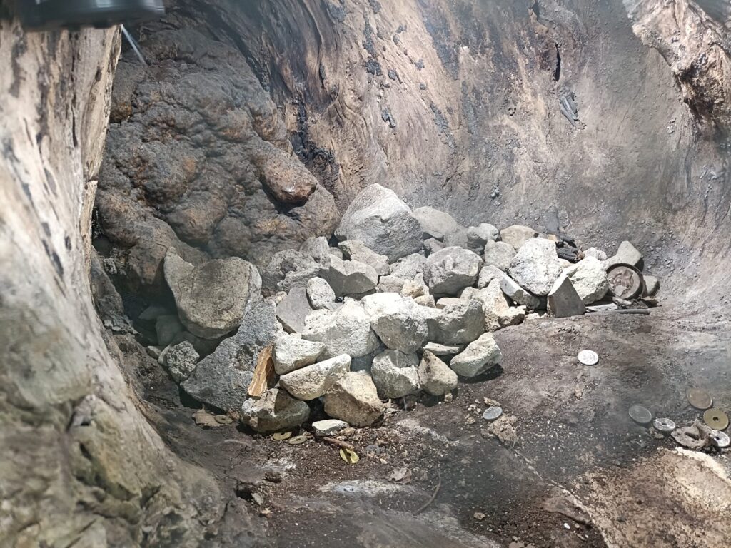 What Happens in Nagasaki on August 9: Inside the Moment of Silence at Sannō Shrine Inside the hollow of the camphor tree, where a stone blown in by the atomic blast still remains